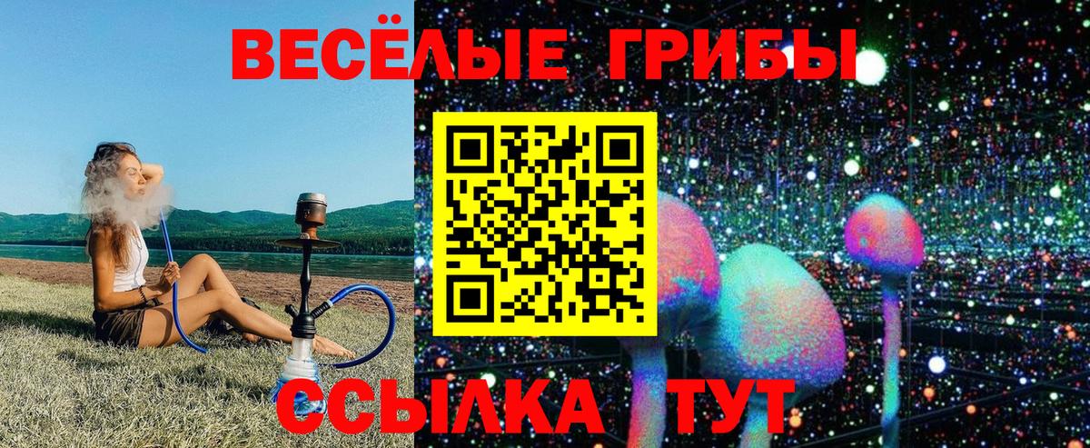 Псилоцибиновые грибы прущие грибы Ивантеевка