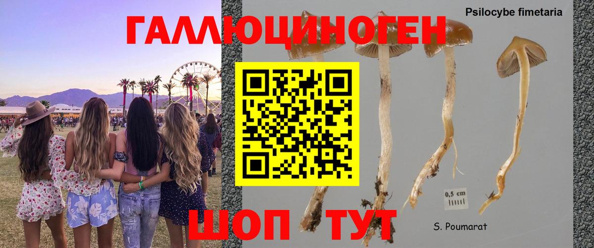 Псилоцибиновые грибы MAGIC MUSHROOMS  Вход с VPN  купить   Ивантеевка 